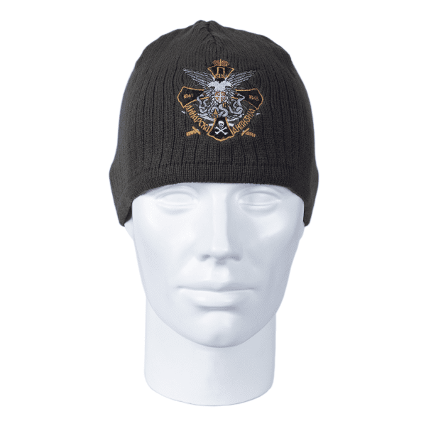 Капа Динарска дивизија